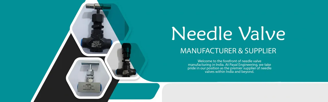 Needle Valves manufacturer