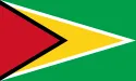 Needle Valve in Guyana