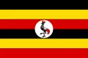 Needle Valve Uganda